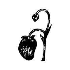 Strawberry sketch in hand drawn style. Vector illustration, summer doodle on white background. Fresh berries for seasonal menu, dessert design, culinary books.