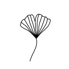 Vector botanical illustration with Ginkgo biloba hand drawn leaf isolated on white background. Emblem, icon, badge or logo element
