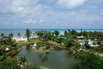 사이판의 바다와 야자수