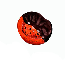 Chocolate-covered orange slice, watercolor illustration isolated on a white background, Christmas dessert and decoration.