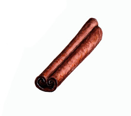 Cinnamon stick drawn in watercolor isolated on a white background
