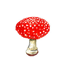Watercolor fly agaric, poisonous mushroom. Forest grebe red with white spots. Hand-drawn autumn illustration, one design element isolated on a white background