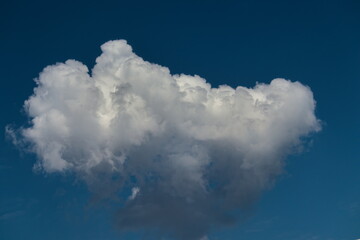 white cumulus cloud, with gray shaded base, floating isolated under a cobalt blue sky.