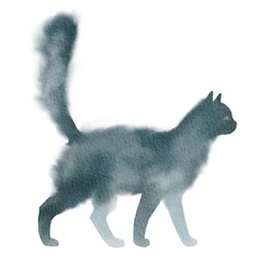 Hand drawn digital illustration of pretty cat isolated on white background. Watercolor stock image of kitty.