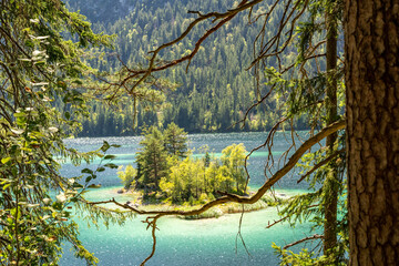 view on beautiful island in the eibsee in front of the zugspitze mountain