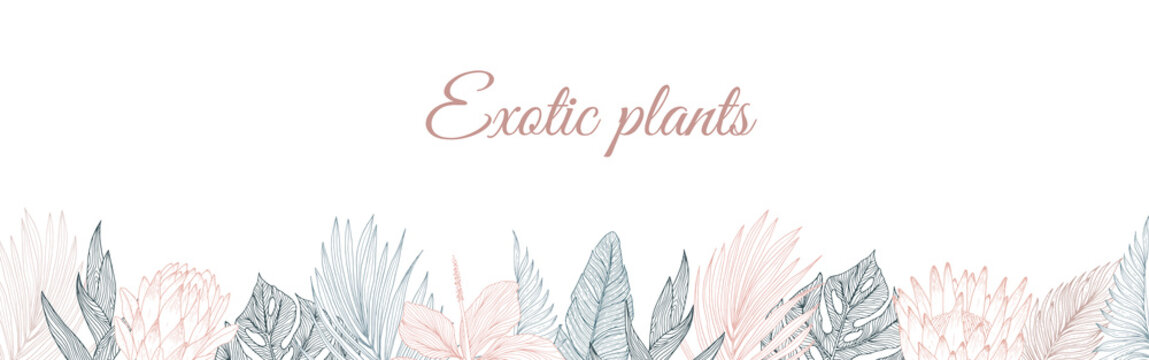 Tropical flowers border pattern in sketch style on white background. Background with hibiscus, protea, magnolia, palm leaves.