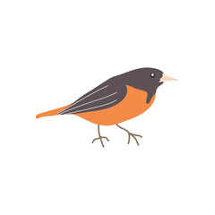 nighttintale bird icon, flat style