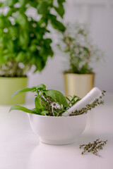 Green basil,  thyme, oregano  in white ceramic mortar and pestle om white table. Alternative herbal medicine concept. Selective focus.