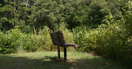 Bench in the forest