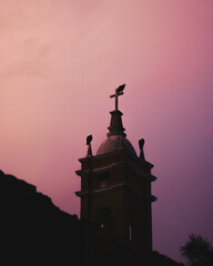 Bird standing in a church with sunset
