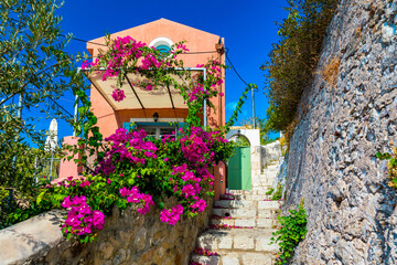 Naklejka premium Traditional street with greek houses with flowers in Assos, Kefalonia island. Traditional colorful greek houses in Assos village. Blooming fuchsia plant flowers. Kefalonia island, Greece