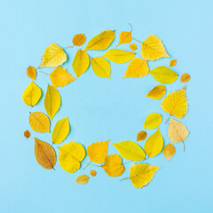 Autumn pattern from natural yellow leaves. Top view, flat lay