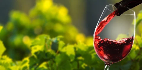 Schilderijen op glas Red wine and glass on vineyard background © BillionPhotos.com