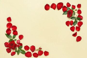 Frame made of beautiful rose petals on color background