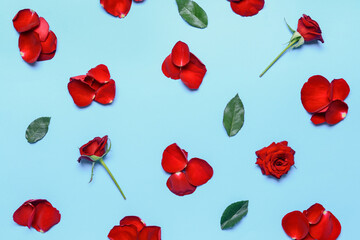 Fototapeta premium Beautiful rose petals on color background