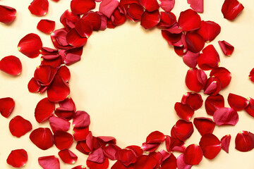 Frame made of beautiful rose petals on color background