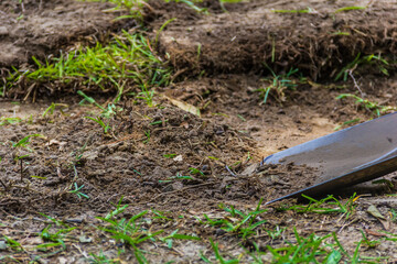 Closeup shot of a flathead shovel scraping off grass and dirt to level out an area