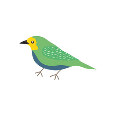 wagtail bird icon, flat style