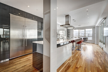 Luxury Apartment in downtown of Montreal