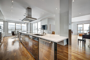 Luxury Apartment in downtown of Montreal