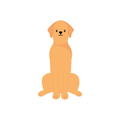 cartoon golden retriver dog icon, flat style