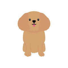 dachshund dog icon, flat style