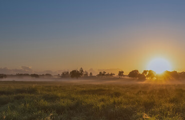 sunrise over the field