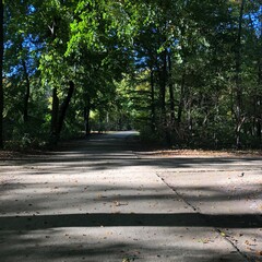 road in the park