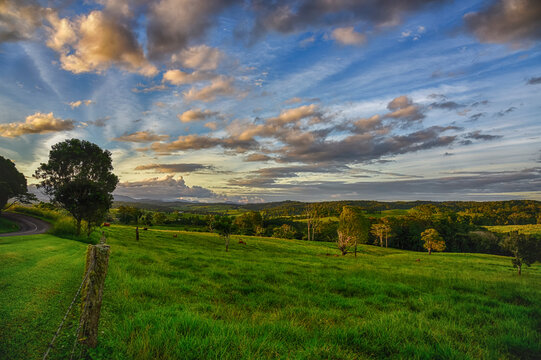 sunset over the field