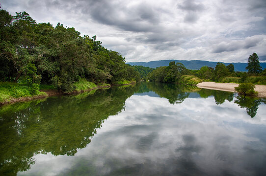 lake in the forest