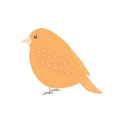 cute orange bird icon, flat style