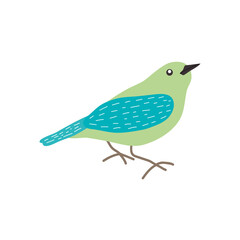 cartoon green and blue bird, flat style