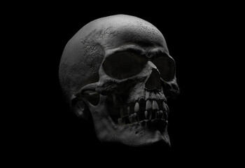 Human skull in profile on a white background. Print, material for design. T-shirt, wallpaper and background concept. The concept of death, horror. Spooky Halloween symbol. 3d render illustration.