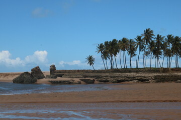 Praia e Coqueiros