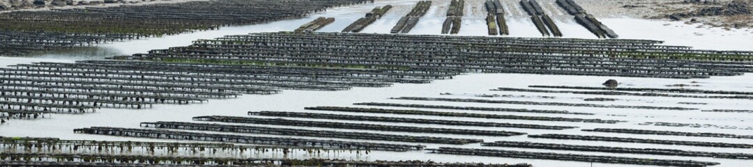 Panoramic aerial view of the oyster farm in Plouguerneau, Brittany, France. Travel destinations, traditional craft, food industry theme