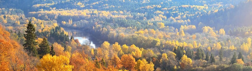 Breathtaking panoramic aerial view of the colorful golden mixed coniferous forest and river in a clouds of fog at sunrise. Stunning autumn landscape. Picturesque scenery. Pure nature, travel, tourism © Alex Stemmer
