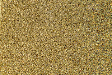 Foam Texture Light Brown