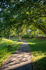 Path to Business