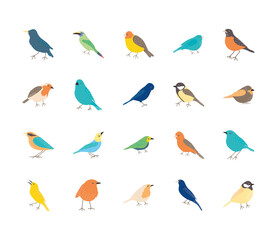 icon set of birds icon, flat style
