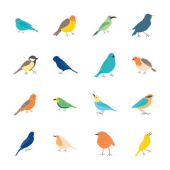 Fototapeta premium icon set of cartoon birds, flat style