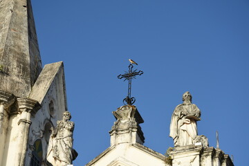 Fototapeta na wymiar bird on top of cross in historic church in the city of São Luís, Brazil