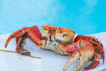 Delicious mangroves cooked crabs  .