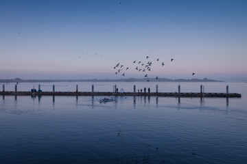 Beautiful scenery with fishing docks and seagulls flying