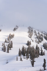 An empty ski resort in winter covered in fog and sunlight shining through on the mountain with trees and ski lifts