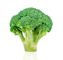 broccoli isolated on white background