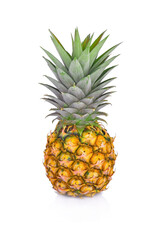 Fototapeta premium pineapple isolated on white background - Image