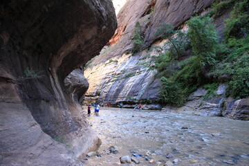 Tourists hiking at one of the world's best slot canyon hikes the narrows in Zion National Park Utah