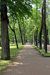 Fototapeta na wymiar alley in the park