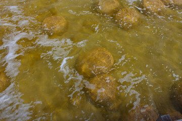 Rare colony of 6 kilometre long thrombolite living rocks calcium carbonate accreted structures in shallow water, 3.5 billion years old seen from the board walk at Lake Clifton  ,Western Australia  .