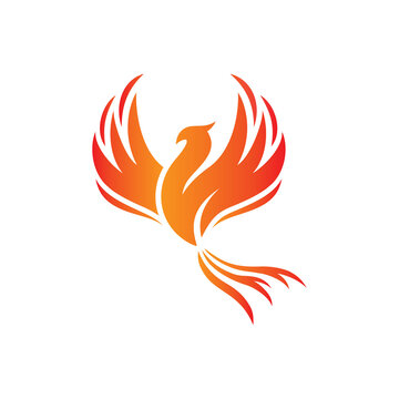 24 232 Best Phoenix Bird Logo Images Stock Photos Vectors Adobe Stock